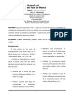 Informe Practica Ciclo Celular - 231004 - 205938