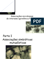 Aula Teorica - Associacoes Simbioticas 2023