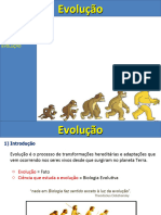 Evolucao 1