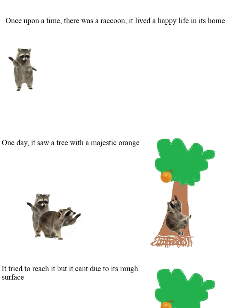 Raccoon Story PDF(00)