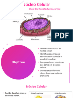AULA 13 - Nucleo Celular
