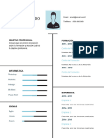 Plantilla Curriculum Vitae 1