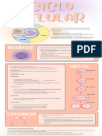 INFOGRAFIA - S8