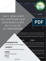 Practica N. - 05 Uso y Aplicacion Del Software Snap Gene (Simulación de Un Gel de Elctroforesis)