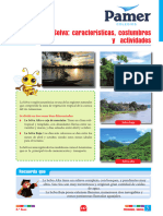 PS - S5 - La Selva - Características, Costumbres y Actividades