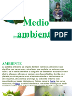 Medio Ambiente CLASE 4 y Deber