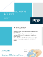 Peripheral Nerve Injuries: Sneha Lakshmi Roll No 78