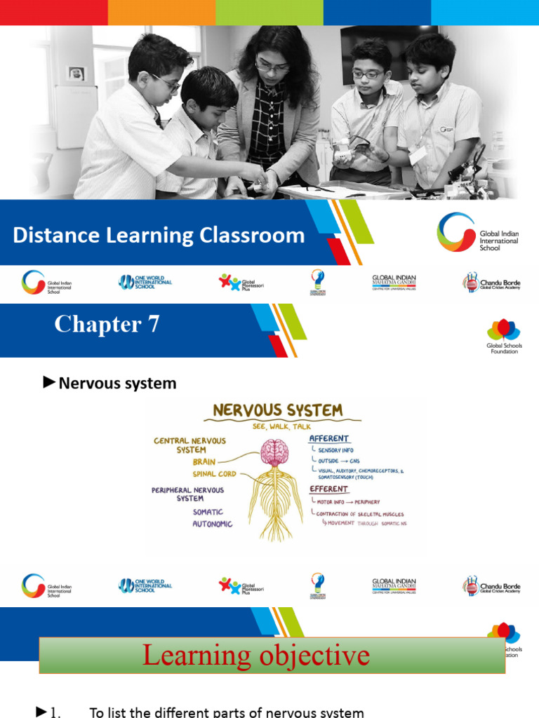 Grade 5 PPT Nevrous System | PDF