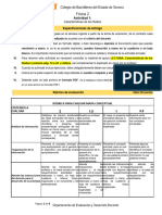 P1-FÍS2-Actividad 1