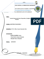 Auditoria Activo Disponible y Exigible