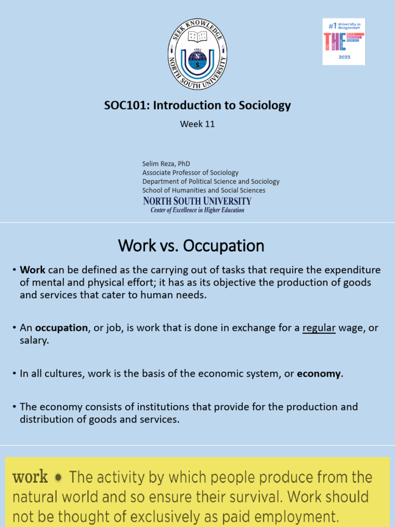 SOC101 Lecture Slides Week 11 | PDF