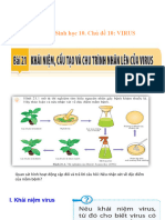 Bài 21. Sinh 10