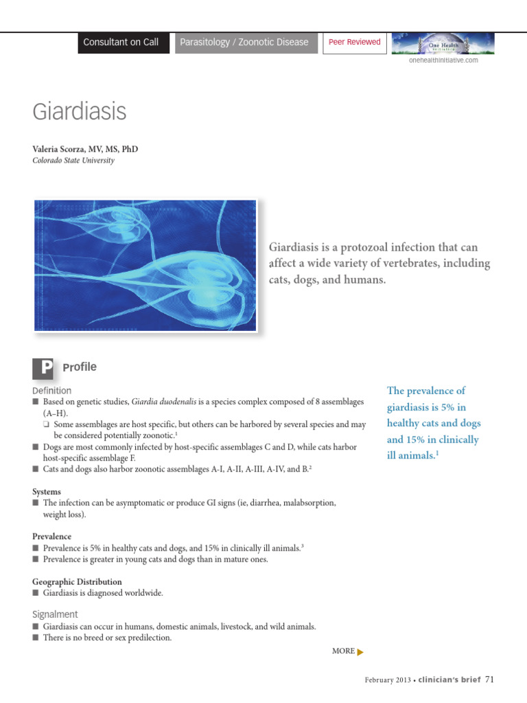 Giardiasis | PDF | Diarrhea | Infection