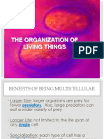 The Organization of Living Things