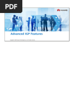 01 Advanced IGP Features