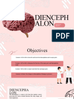 Group 4 Diencephalon