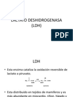 Lactato Deshidrogenasa (LDH)