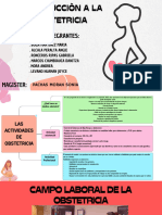 Las Actividades de Una Obstetricia