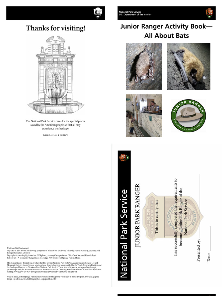 Bat JR Ranger Handbook PDF