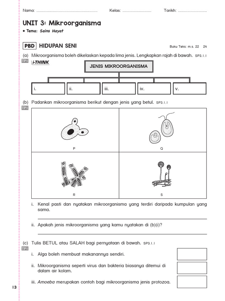 Sains Tahun 6 Unit 3 Pdf