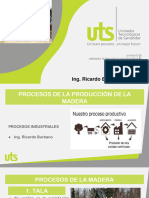 Proceso Industrial de La Madera 2023