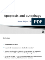 Cell Injury 3 Apoptosis and Autophagy