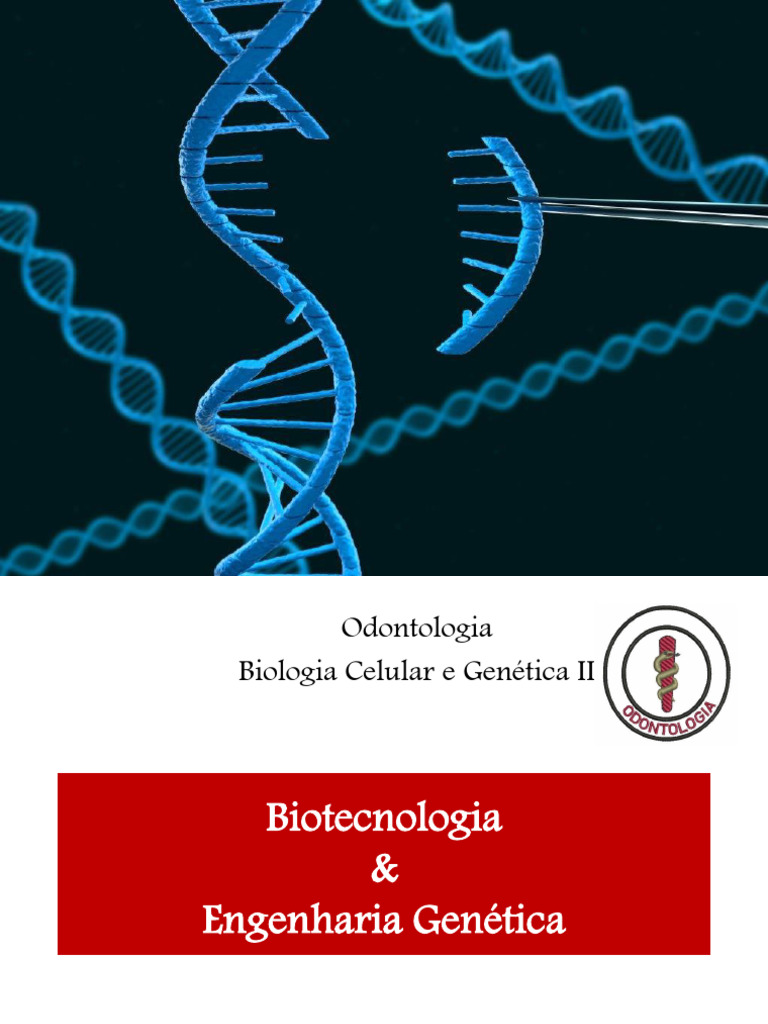 Biotecnologia e Engenharia Genética | PDF | Terapia genética | Genética