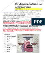 Sistema Caridovascular - Geriatria - p2