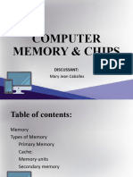 Computer Memory and Chipsl