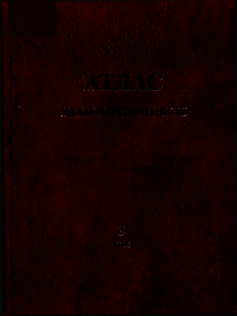 Амалия Мордвиновамен секс көріністері