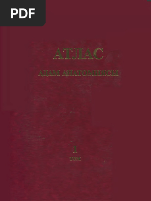 Қалың еріндері бар ең үлкен қынаптар