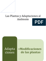 Adaptaciones en Las Plantas