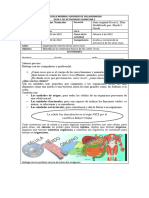 C Naturales - Cuarto - Sesion 1 - Periodo 1 - Organizaciòn Interna de Los Seres Vivos