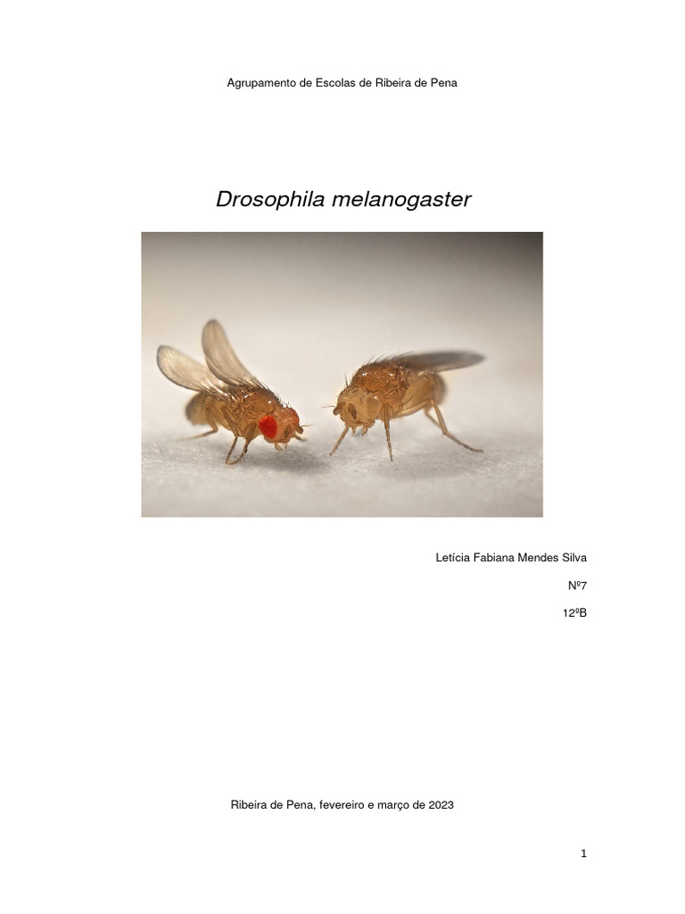 Dimorfismo Sexual em Drosophila melanogaster | PDF | Drosophila ...