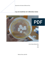 Testar A Presença de Bactérias em Diferentes Meios - 2023 - Letícia Silva