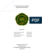 Laporan Praktikum Biokimia Gizi - Protein - Kelompok 1