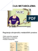 P 28 - Pregled I Regulacija Metabolizma