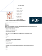 Tugas Sistem Endokri 010423