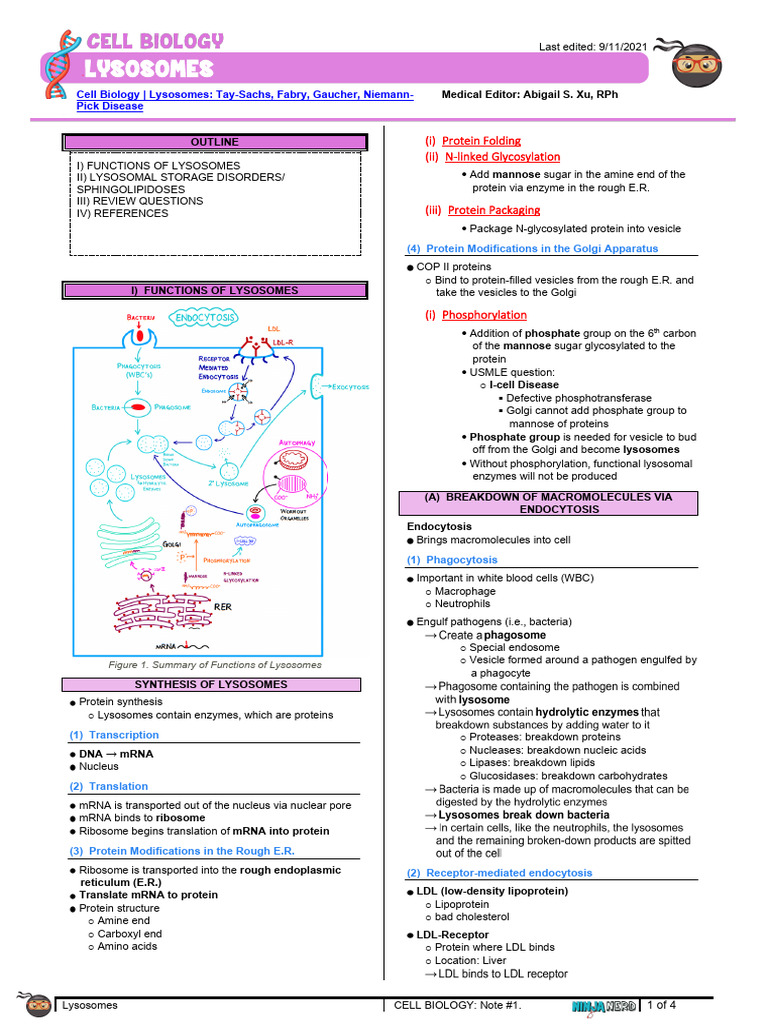 353 CellBiology Physiology) Lysosomes TaySachs, Fabry, Gaucher