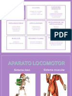 01 Sistema Locomotor