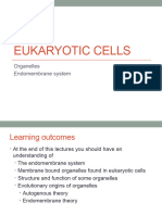 Eukaryotic Cells 2023 (1) - Tagged