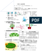 CH 21 光合作用