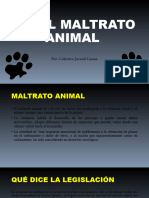 NO AL MALTRATO ANIMAL