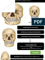 Osteologia Cabeça e Face Fatecie