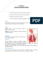 Sistema Respiratorio