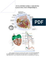 CARDIO_ Bases biofísicas de la actividad cardiaca y músculo liso vascular con proyección a bases fisiopatológicas