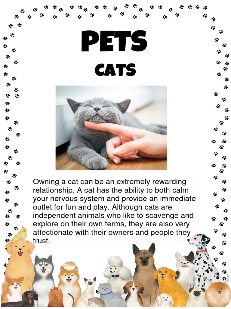 Cats | PDF | Cooking, Food & Wine | Self-Improvement
