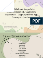 Generalidades de Los Parásitos Cystoisospora Belli, Cyclospora