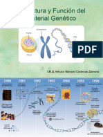 Estructura y Funci N Del ADN 2014