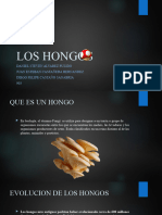 Los Hongos